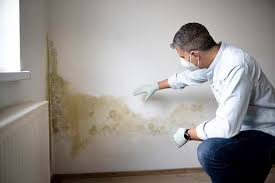 Why You Should Choose Our Mold Remediation Services in Syracuse, NE